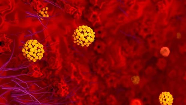 Malasia: aseguran que hallaron una cepa de coronavirus 10 veces más infecciosa | Internacionales