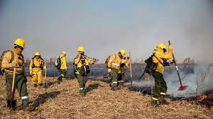 Cuatro agentes de Manejo del Fuego en el delta del Paraná se contagiaron de coronavirus | Actualidad