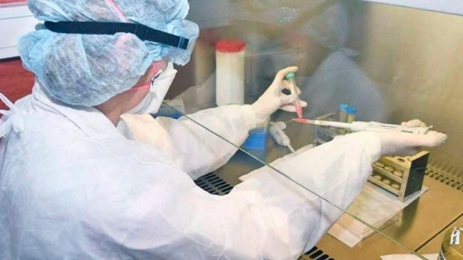 Nuevas esperanzas: científicos encontraron un punto débil del coronavirus | Salud