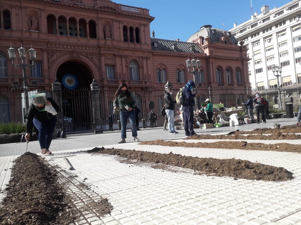 Acceso a la tierra: instalaron una chacra en Plaza de Mayo | Actualidad