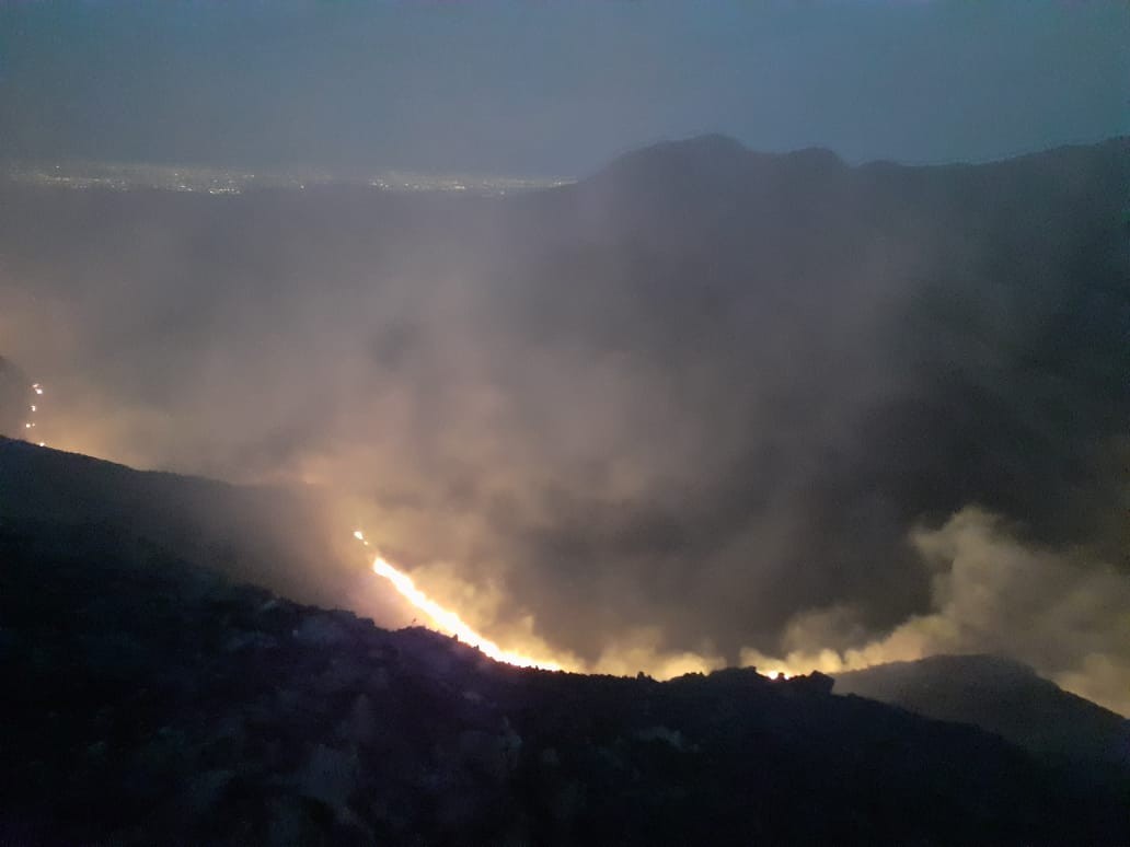 FOTOS: incendio arrasador en la zona del Pan de Azúcar | Córdoba