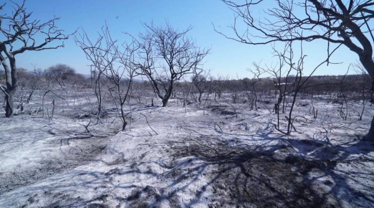 Incendios: reunión por el plan de restauración ambiental de zonas afectadas | Córdoba