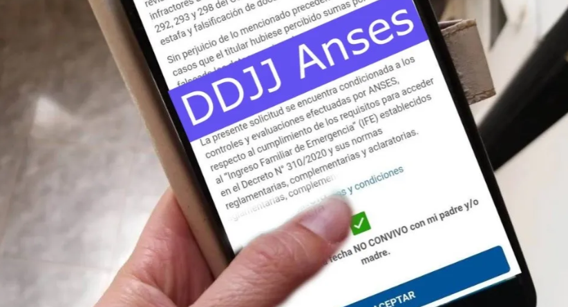 Anses recomienda a los solicitantes del IFE actualizar la DDJJ para chequear datos falsos | Actualidad