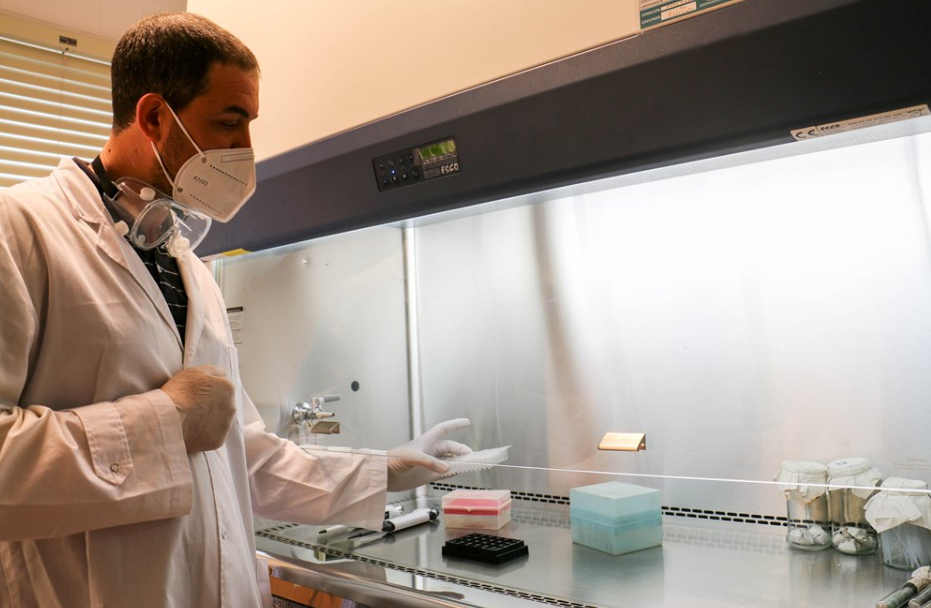 Se confirmaron 552 casos nuevos y cuatro fallecimientos por coronavirus en Córdoba | Córdoba