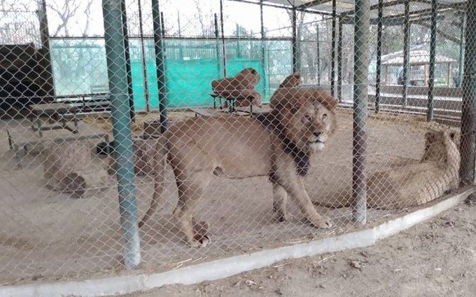 El gobierno nacional clausuró el Zoológico de Luján | Actualidad