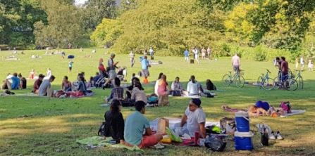 Primavera en casa: Córdoba propone un espectáculo virtual para festejar el Día del Estudiante | Córdoba