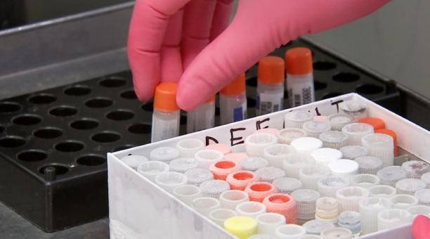 Una fuga en una bio farmaceútica de China causó más de 3.000 infectados con brucelosis | Internacionales