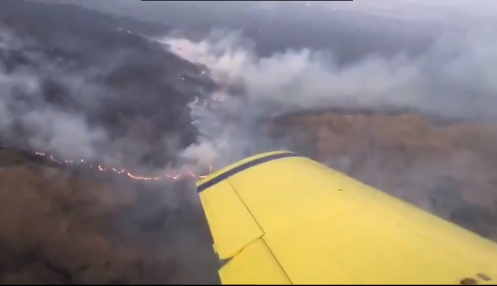 Videos: complicada situación por los incendios forestales en Córdoba | Córdoba