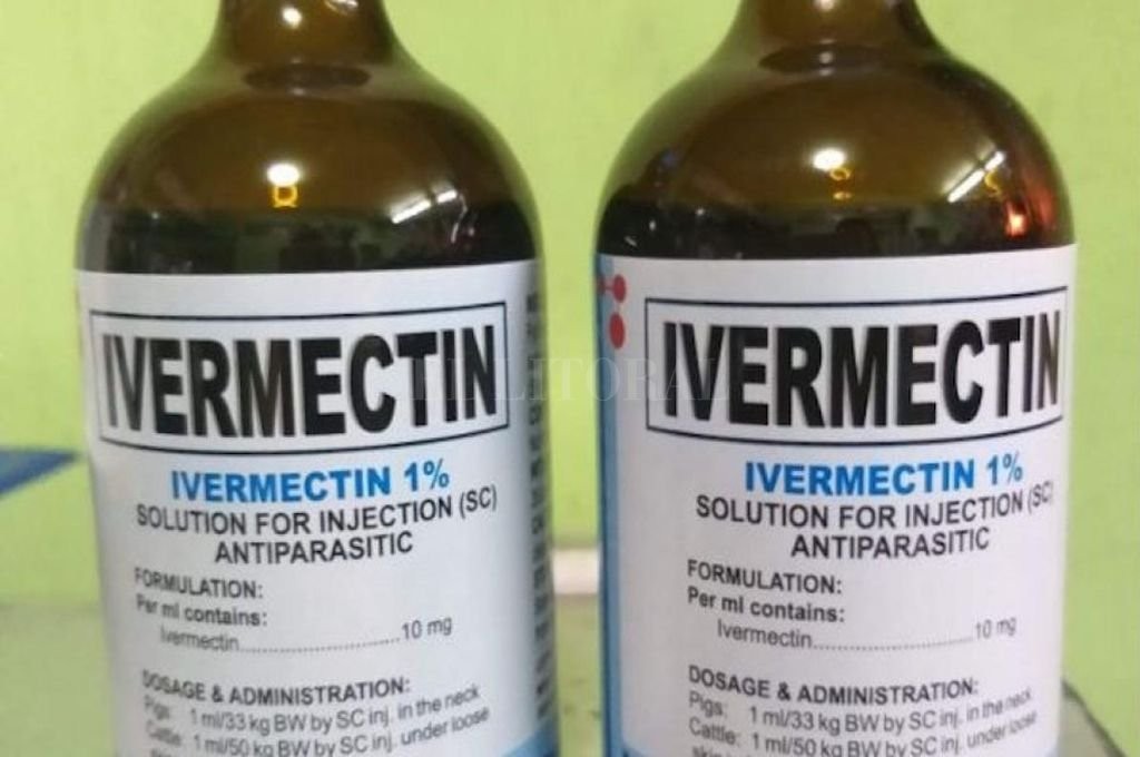 Un estudio en Argentina indica que la Ivermictina tiene respuesta antiviral ante el coronavirus | Actualidad