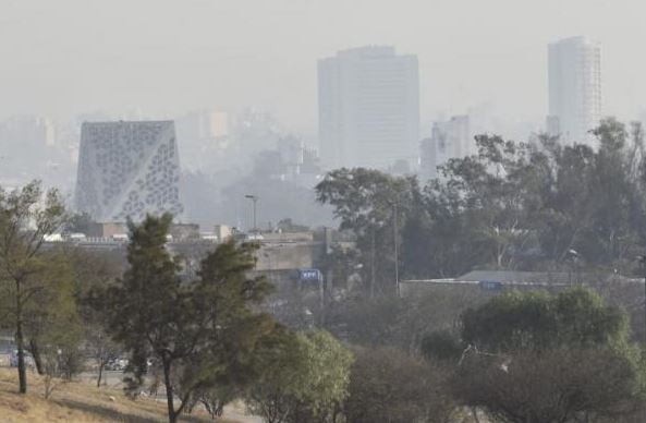 Día cálido con ráfagas de viento noreste: mirá el pronóstico para este jueves | Córdoba