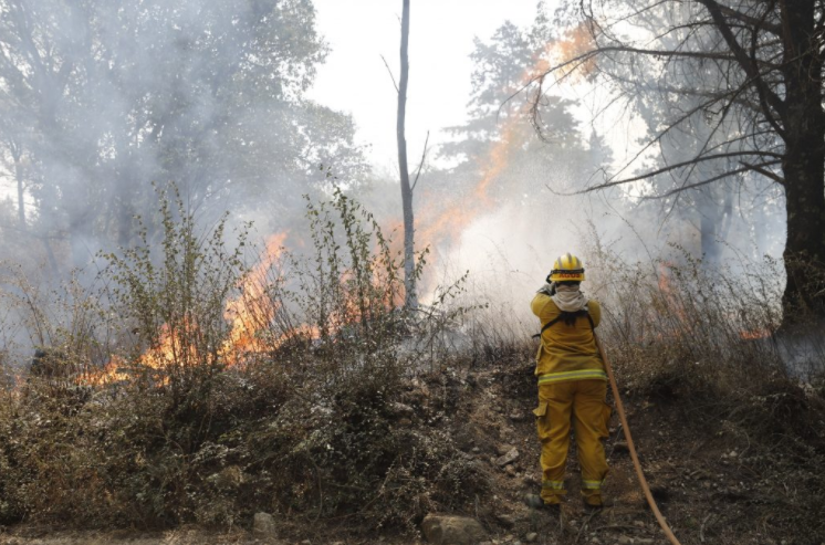 INCENDIOS EN CÓRDOBA: bomberos enfrentan otra jornada complicada | Córdoba