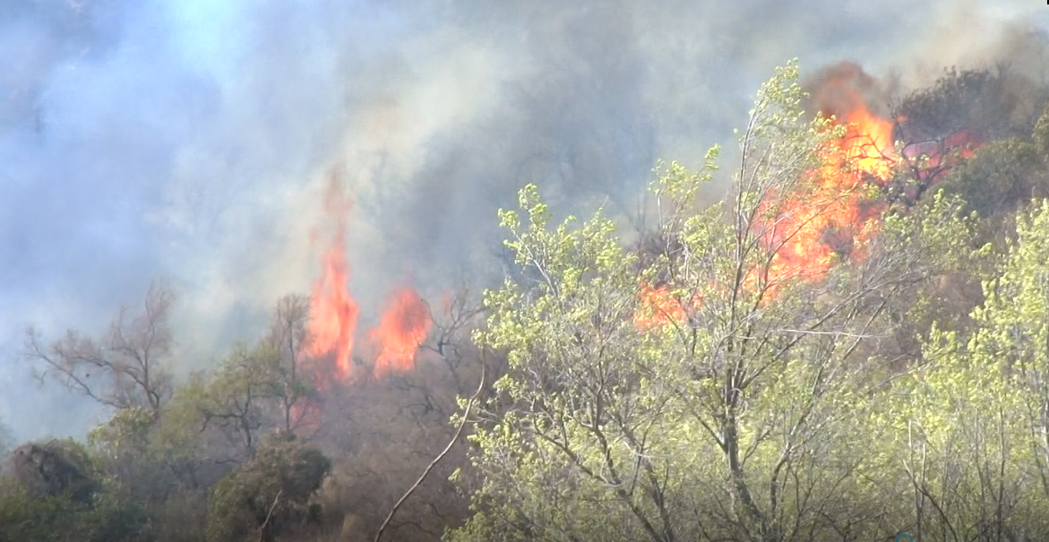 Incendios en Córdoba: hay focos activos y se los ataca por tierra y por aire | Córdoba
