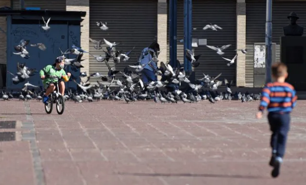 Preocupa la falta de actividad deportiva en los menores de 12 años | Actualidad