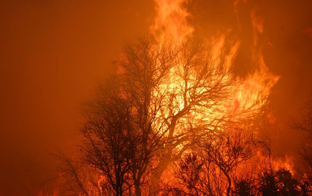 Otra noche cruzada por el fuego en las sierras | Córdoba