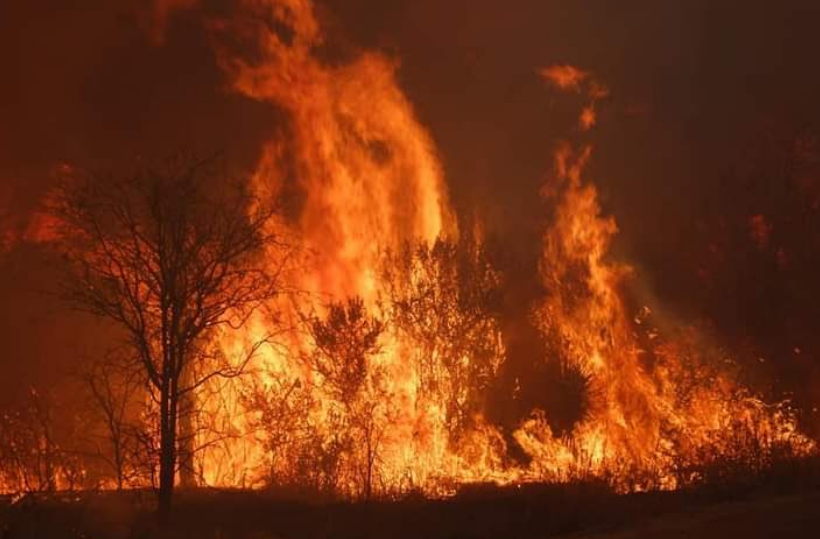 Incendios: las noticias de último momento que hay que saber para estar informado | Córdoba