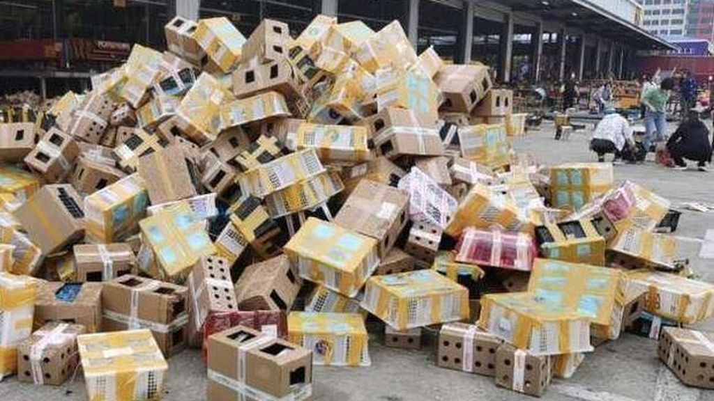 Horror en China: hallaron 5.000 mascotas muertas en cajas de cartón | Internacionales