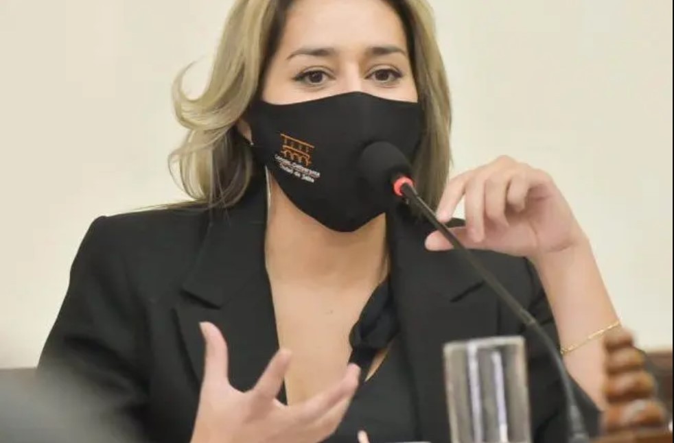 Salta: le pidieron a una concejala "que se tape un poco" en plena sesión | Actualidad