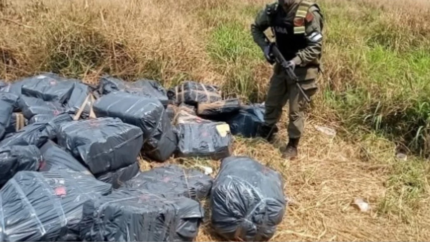 Hallan tres toneladas de marihuana escondida entre maleza en Misiones | Actualidad