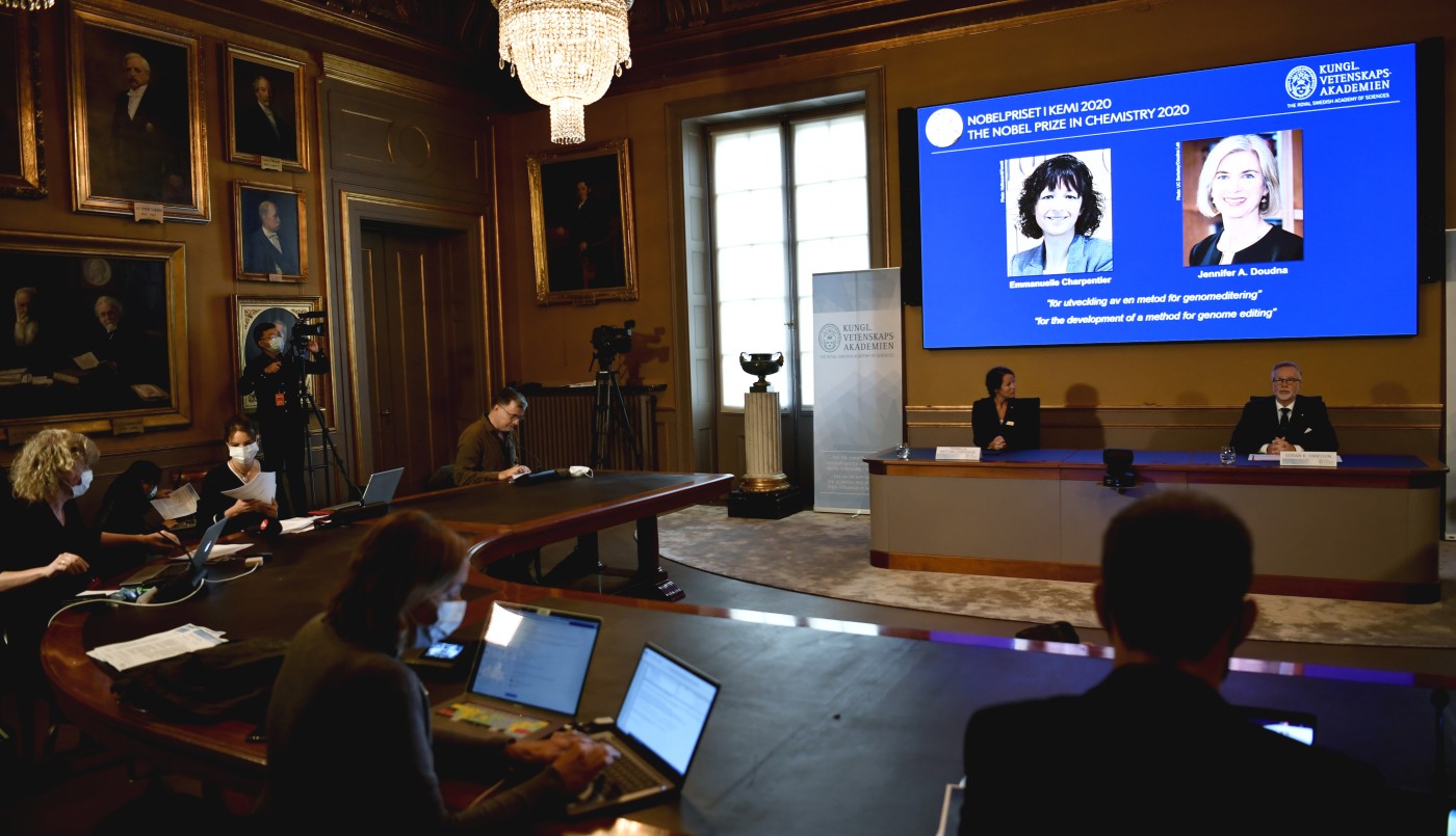Otorgan el Nobel de Química a dos científicas por sus trabajos en edición genética | Actualidad