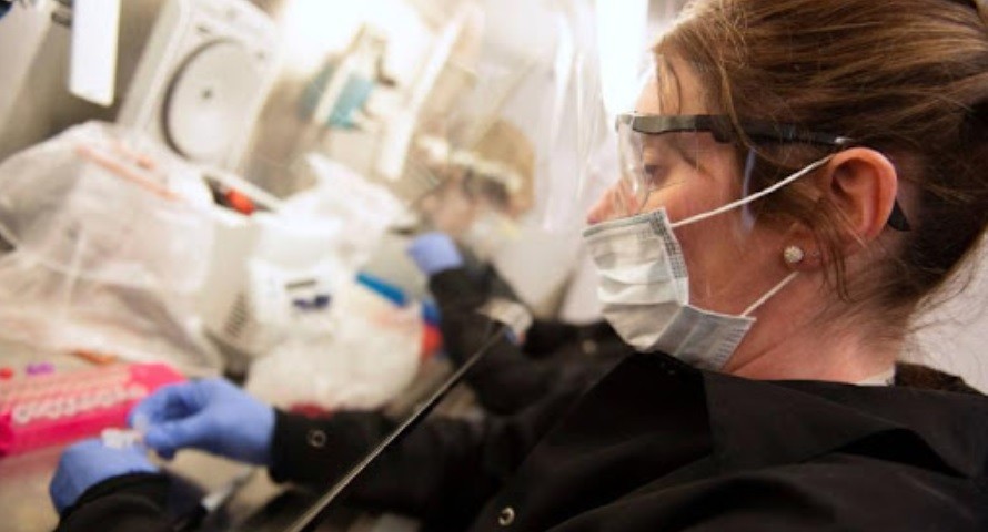 Noruega: detectan una mutación "única" del coronavirus | Internacionales