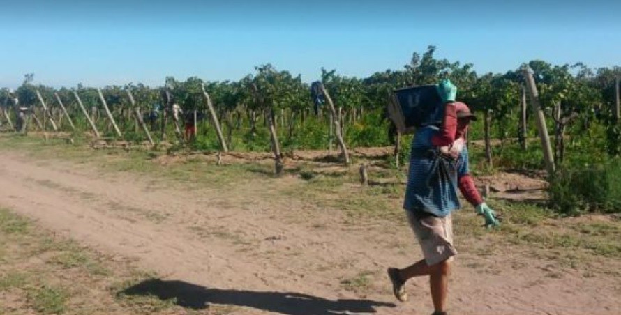 Un nene de dos años murió ahogado al caer a un canal de riego en Mendoza | Actualidad