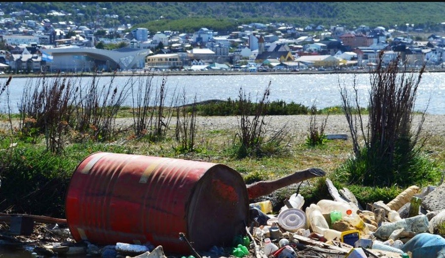 Ushuaia: primera ciudad argentina que prohíbe la venta de hisopos plásticos descartables | Actualidad