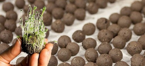 Jujuy: Invitan a estallar bombas de semillas durante las Fiestas | Actualidad