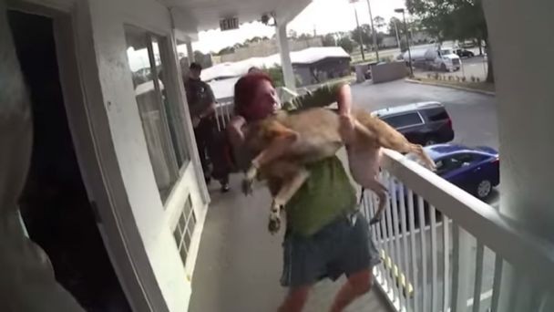 Video: tiró a su perro desde un segundo piso | Internacionales