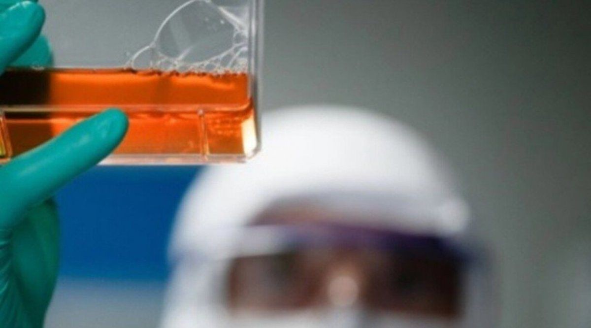 El suero equino, inmune contra el coronavirus, llega este lunes a los hospitales | Actualidad