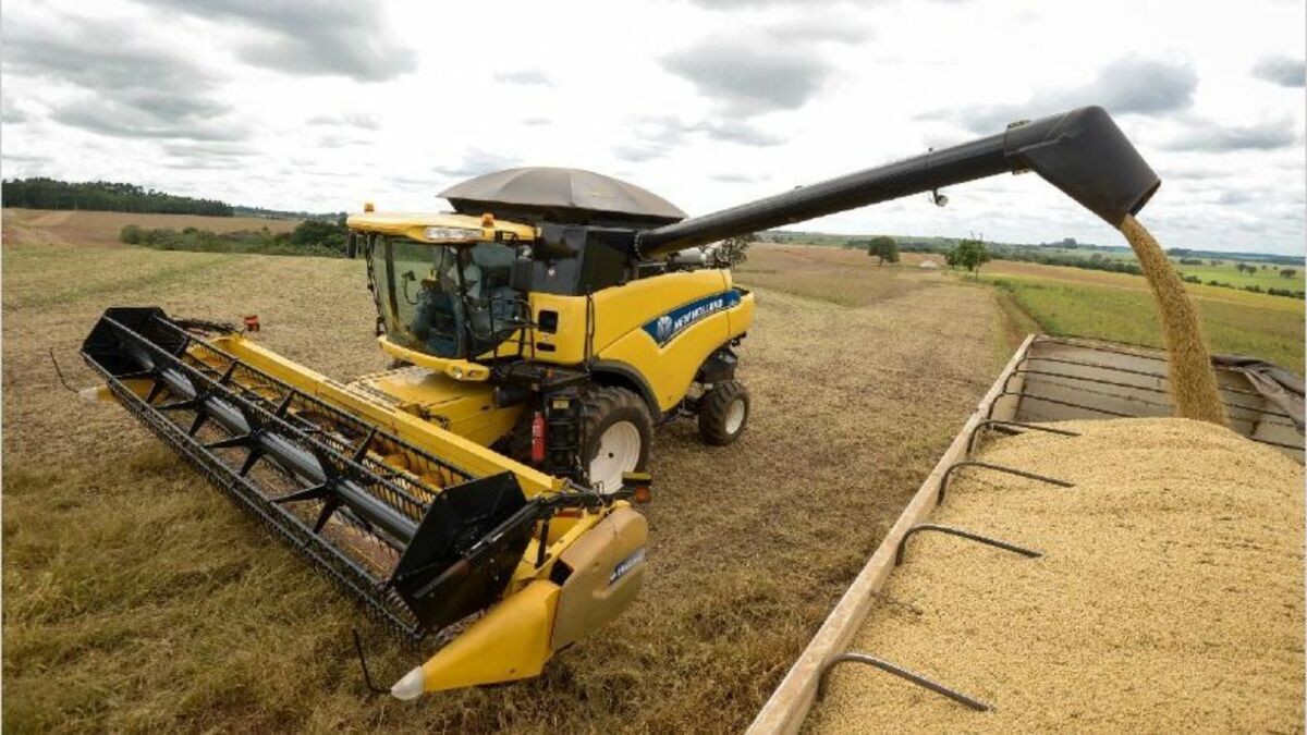 Arrancó el paro del campo por 72 horas | Actualidad
