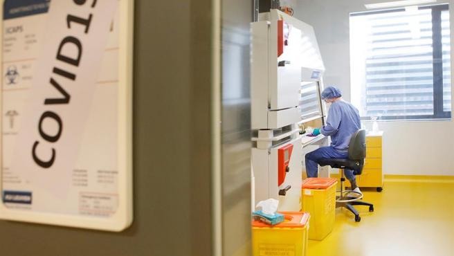 Desarrollan una vacuna que aseguran que protegería contra el coronavirus por años | Internacionales