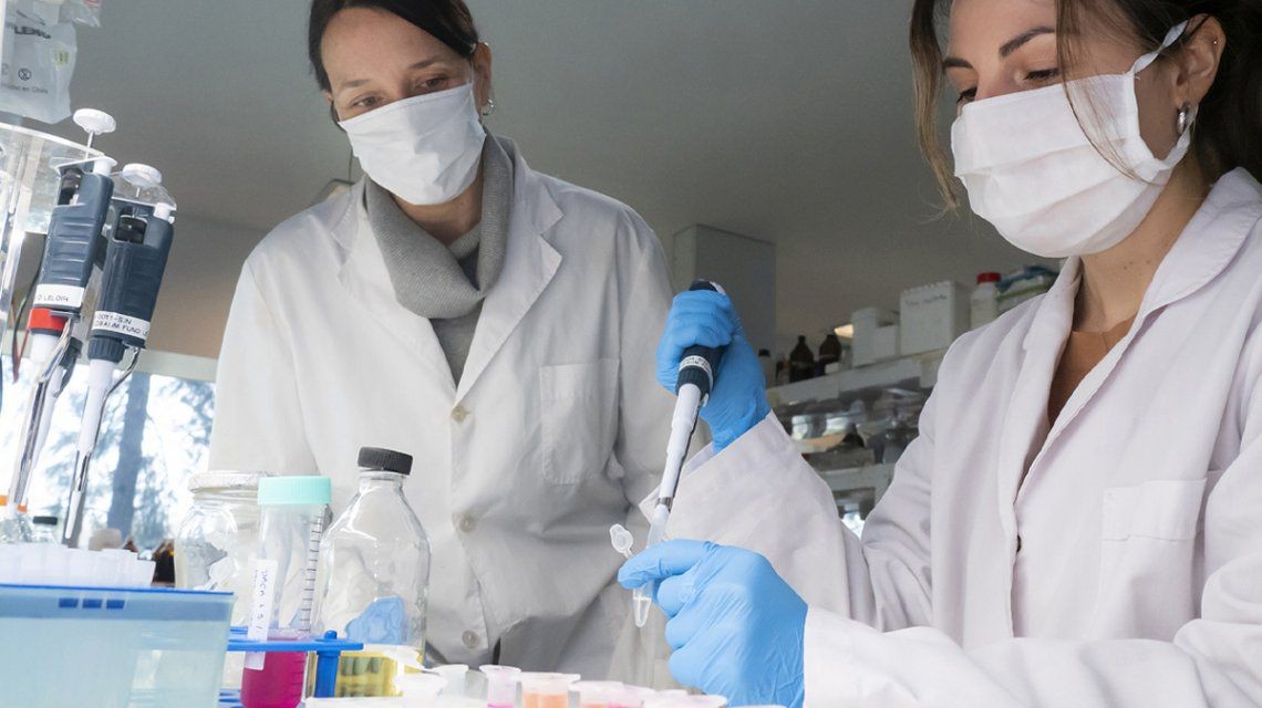 La Sociedad Argentina de Terapia Intensiva recomendó no usar el suero equino hiperinmune | Actualidad