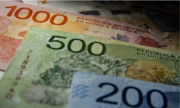 Confirmaron desde el gobierno cómo será la transformación del IFE este año | Actualidad