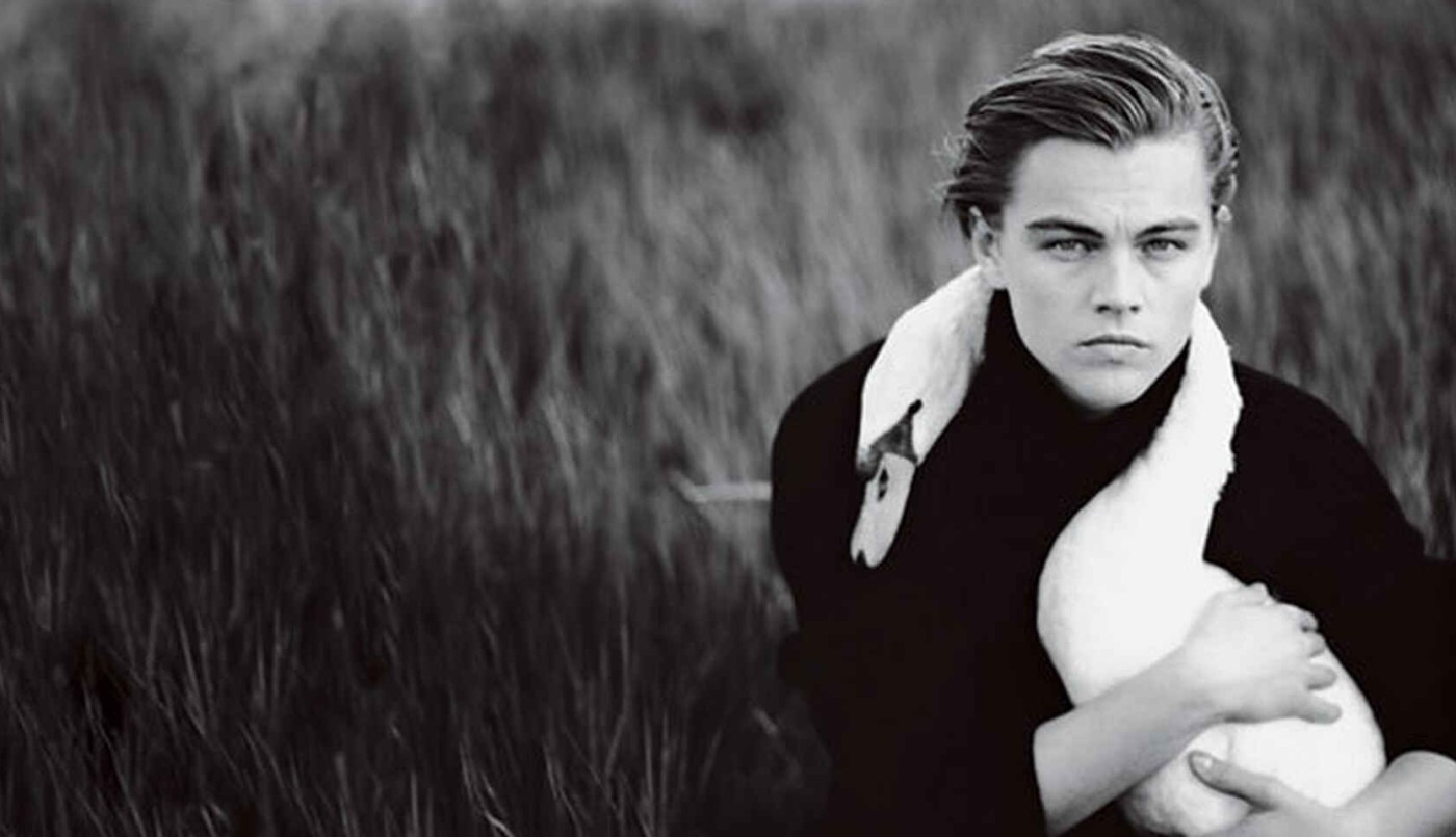 Leonardo DiCaprio celebró la reintroducción del yaguareté en Corrientes | Espectáculos