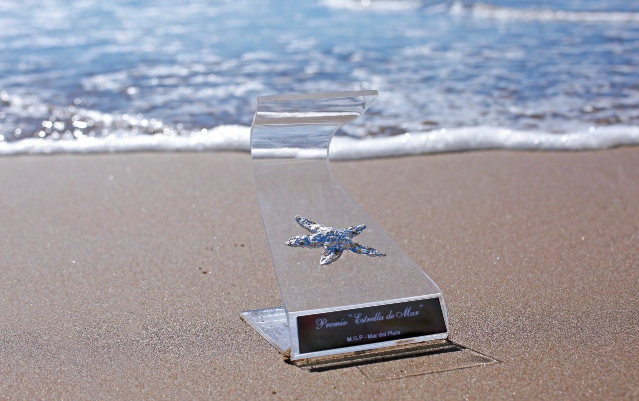 Estos son los nominados a los premios Estrella de Mar | Espectáculos