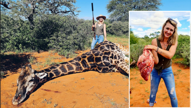 San Valentín sangriento: una mujer mató a una jirafa y mostró su corazón en las redes sociales | Internacionales
