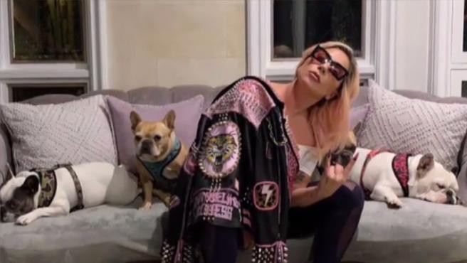 Lady Gaga recuperó a sus perros robados luego de ofrecer 500.000 dólares como recompensa | Internacionales