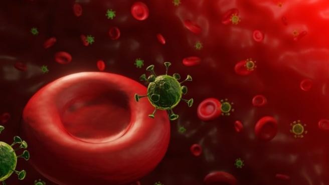 Confirman que el coronavirus es más agresivo con gente que tiene un tipo de sangre específico | Internacionales