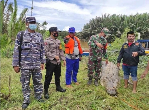 Cocodrilo devoró a un chico de 8 años: vecinos cazaron al animal y recuperaron el cuerpo intacto | Internacionales