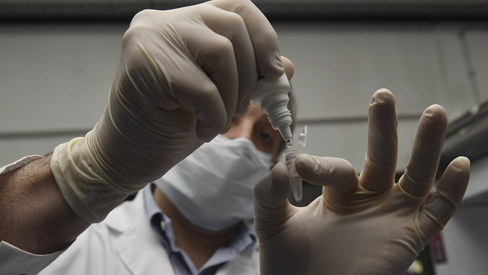 Investigadores argentinos determinaron cómo muta la proteína spike, el blanco de las vacunas | Actualidad