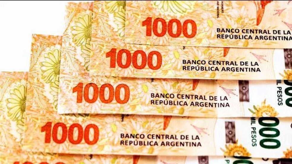 ANSES: tres nuevos programas que pagan hasta $20.500 por mes | Actualidad