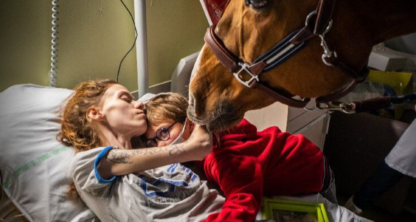 La conmovedora imagen de un caballo confortando a un paciente de cáncer terminal en sus últimas horas | Internacionales