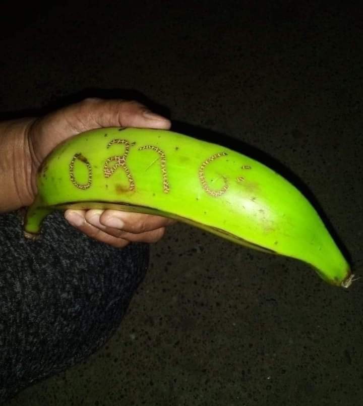 La historia de la banana viral que hizo ganar la lotería a 2.000 colombianos | Curiosidades