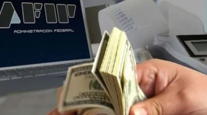 Jueza ordenó a la AFIP que no cobre el impuesto a las grandes fortunas a un empresario | Actualidad