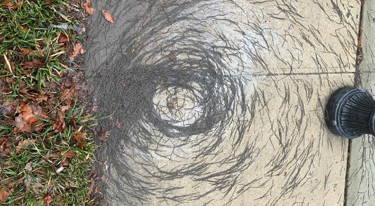 El tornado de lombrices que desconcierta a los científicos | Internacionales