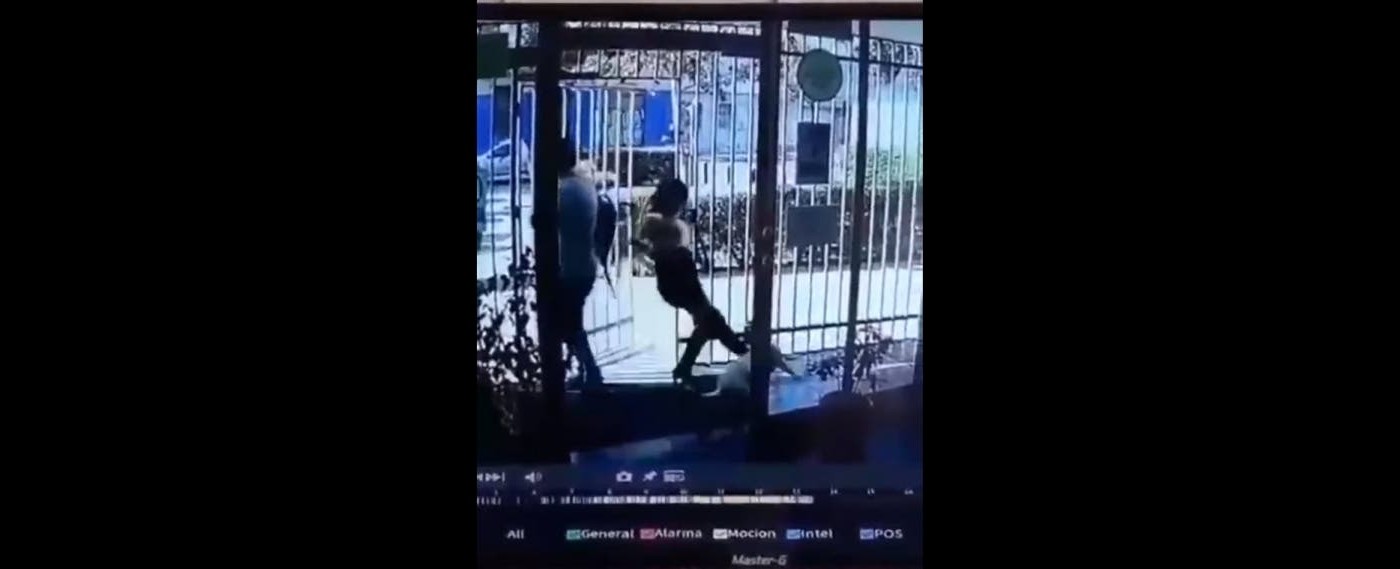 Video de terror: brutal patada de una mujer a un perro en la puerta de un edificio | Internacionales