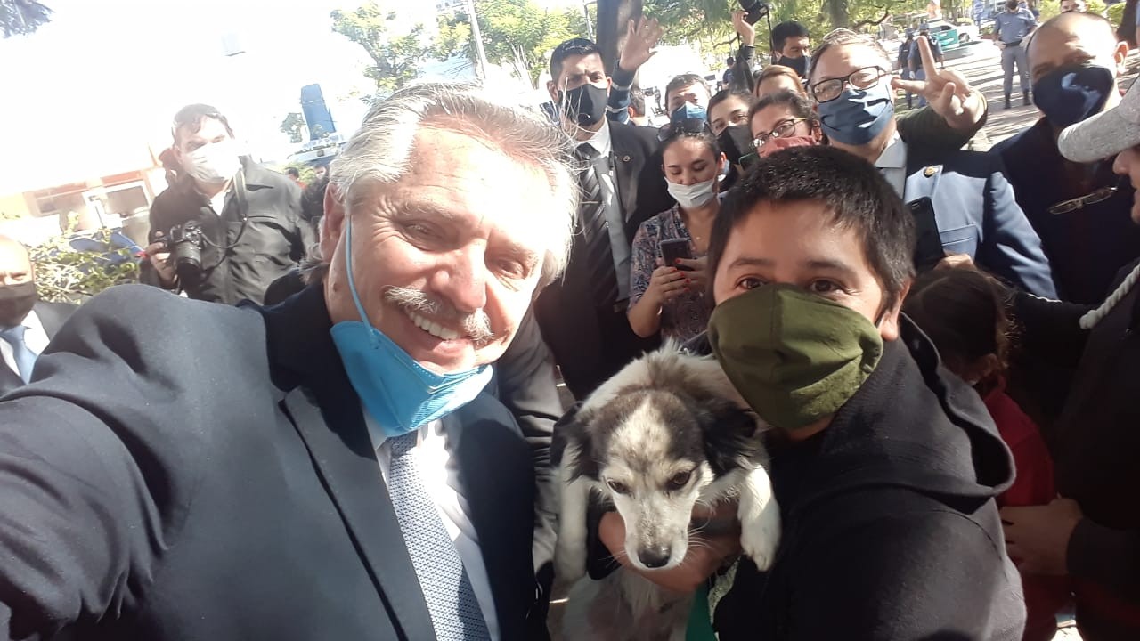 El polémico retuit de Alberto Fernández: con Putin "vacunando" un gorila | Actualidad