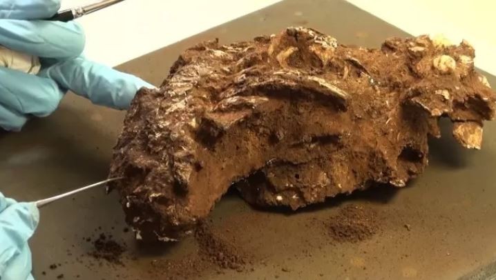 Hallan el enterramiento humano más antiguo de África: un niño de hace 78 mil años | Internacionales