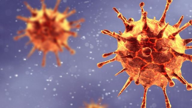 Científicos trabajan en una vacuna “pancoronavirus” que protegerá contra todas las variantes | Internacionales