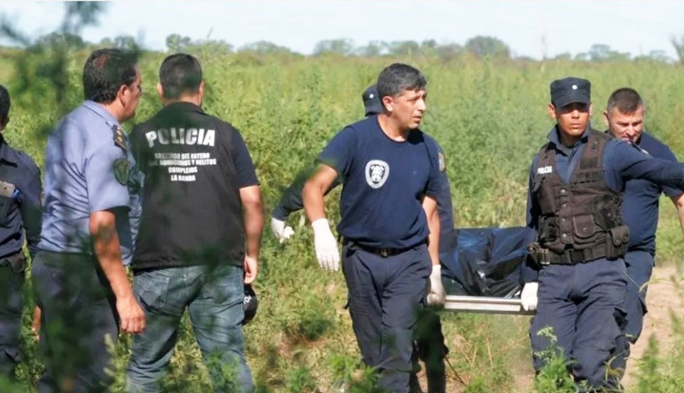 Encontraron el cráneo de una persona pendiendo de un árbol con una soga | Actualidad